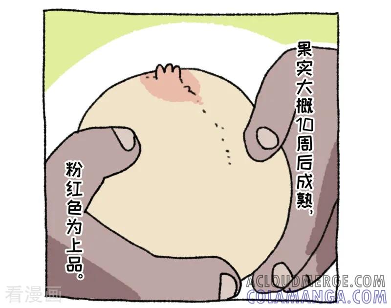 第36话关于不切-不切传说-新漫画（第19张）