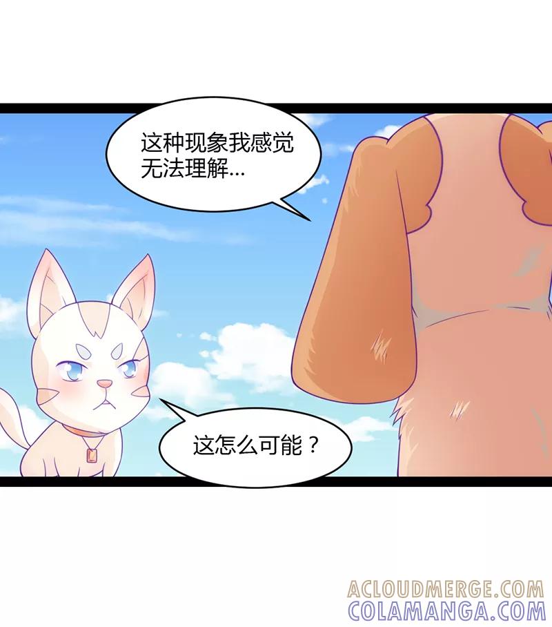 第48话-狗粮好吃-阿里文学（第13张）