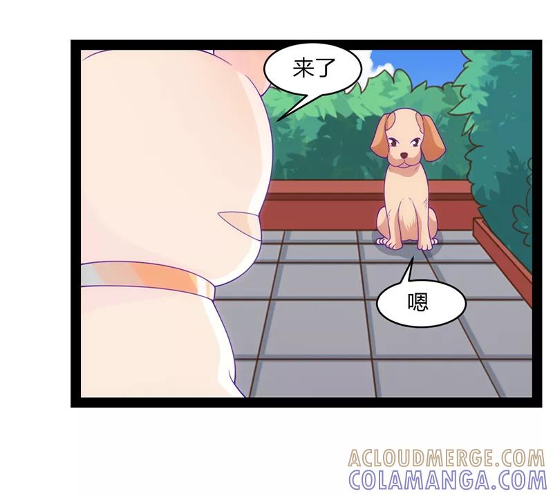 第48话-狗粮好吃-阿里文学（第7张）