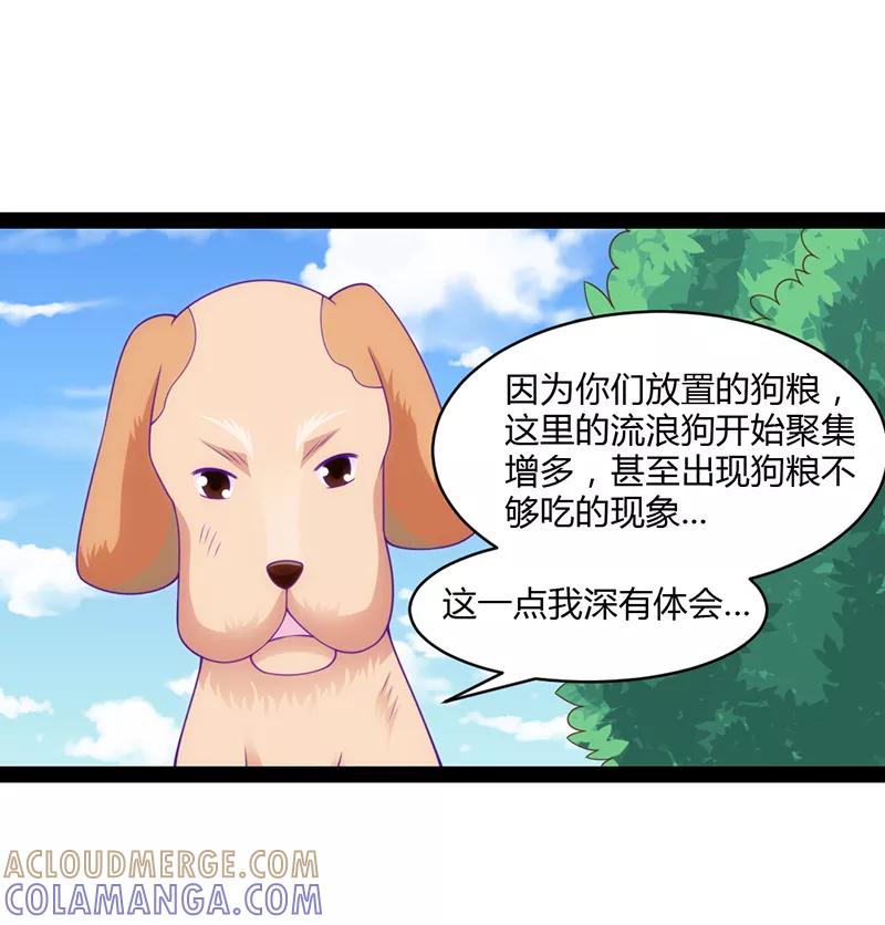 第48话-狗粮好吃-阿里文学（第11张）