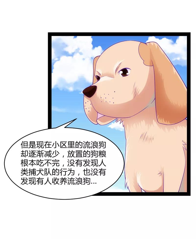 第48话-狗粮好吃-阿里文学（第12张）