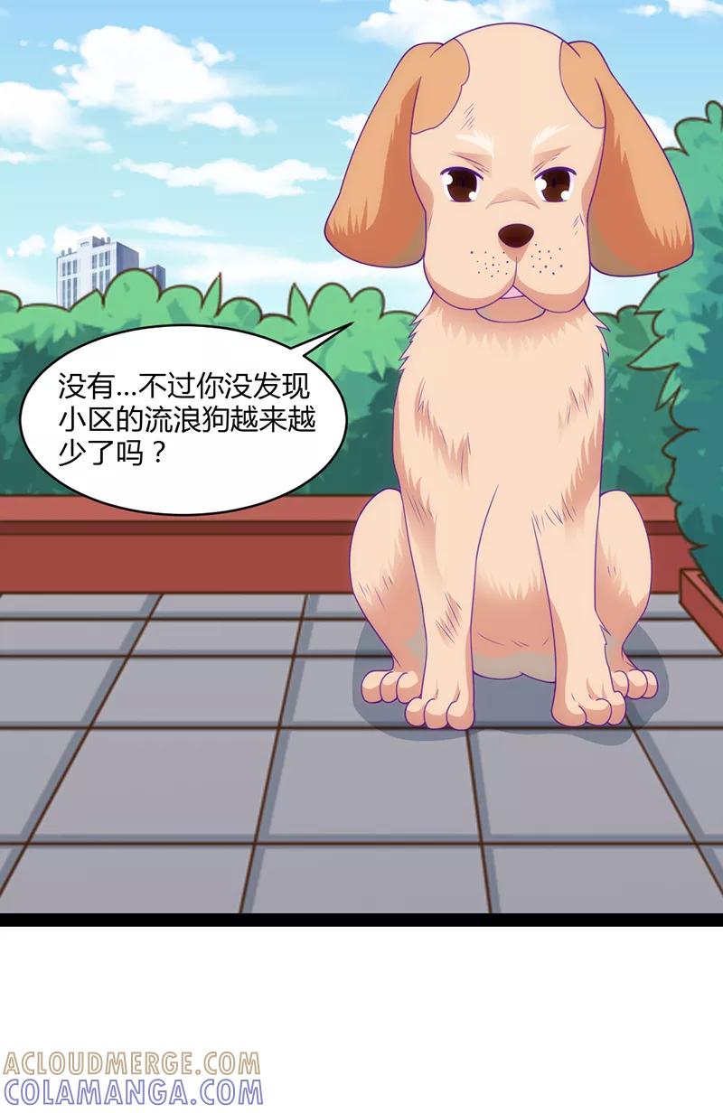 第48话-狗粮好吃-阿里文学（第9张）