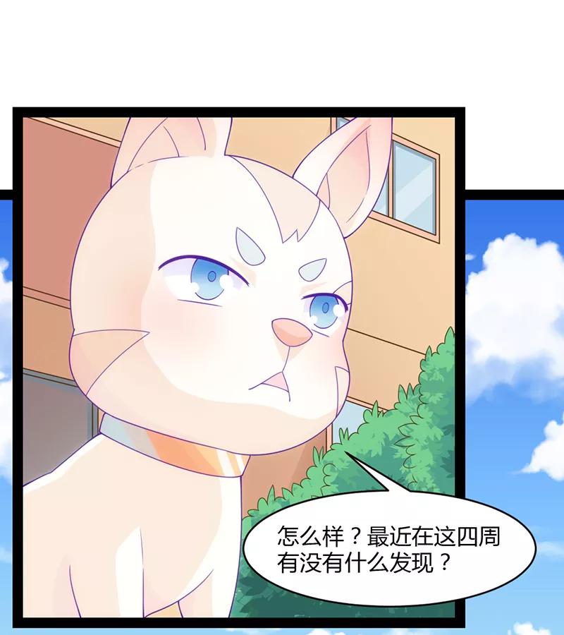 第48话-狗粮好吃-阿里文学（第8张）