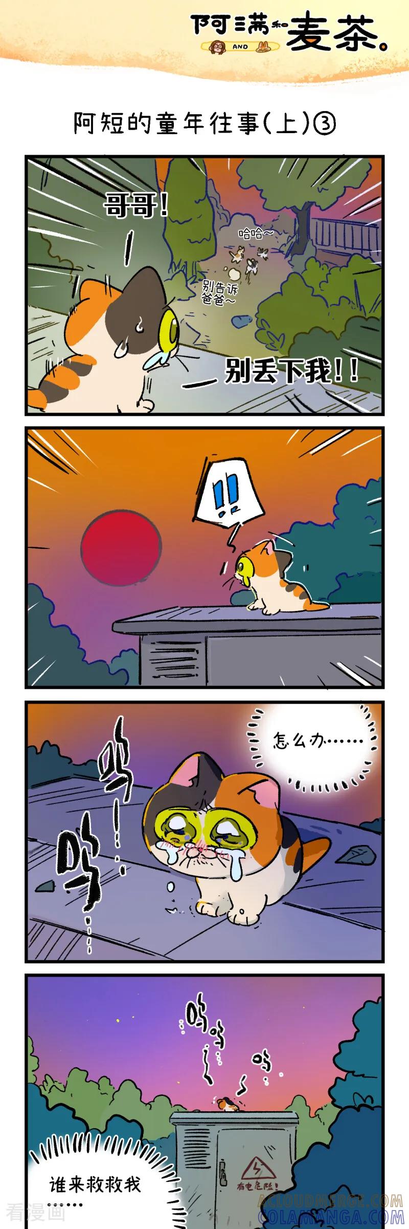 第258话-阿满和麦茶-新漫画 日胖大海寺（第5张）