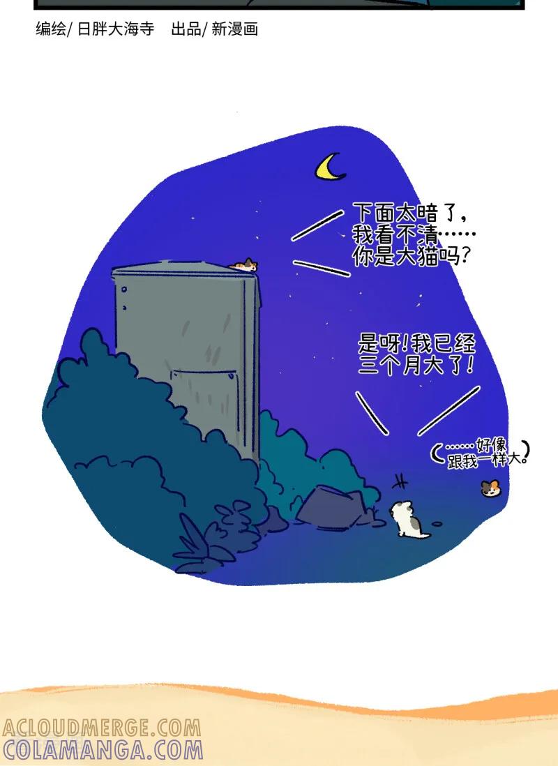 第258话-阿满和麦茶-新漫画 日胖大海寺（第8张）