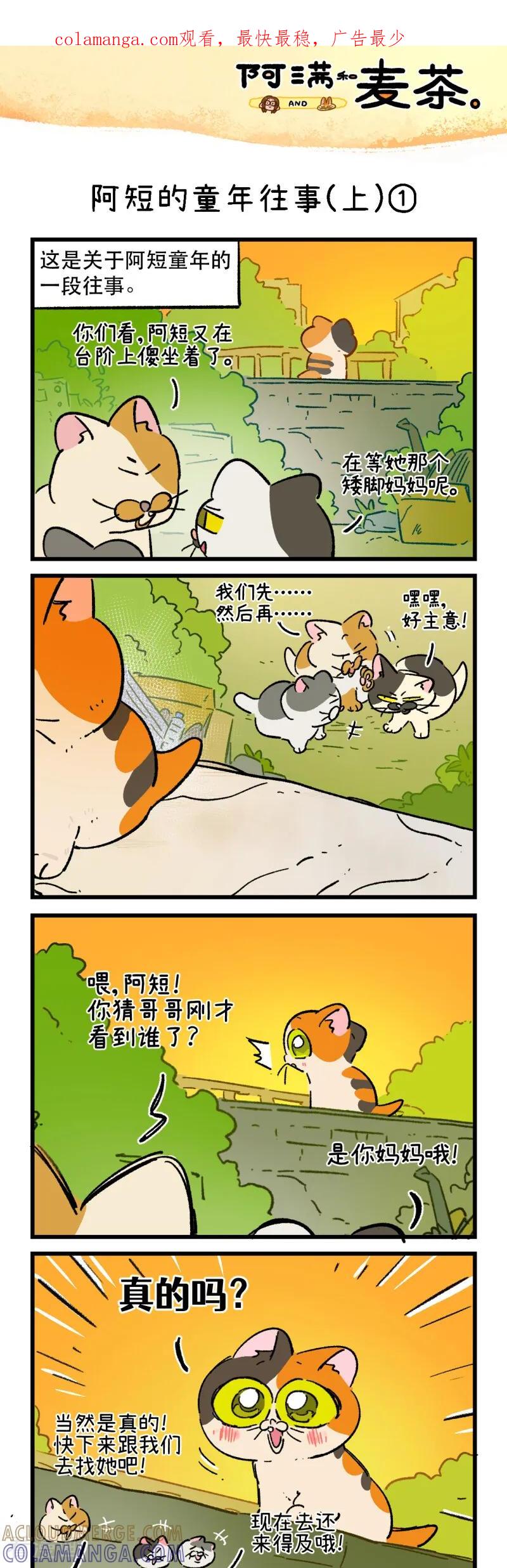 第258话-阿满和麦茶-新漫画 日胖大海寺（第1张）