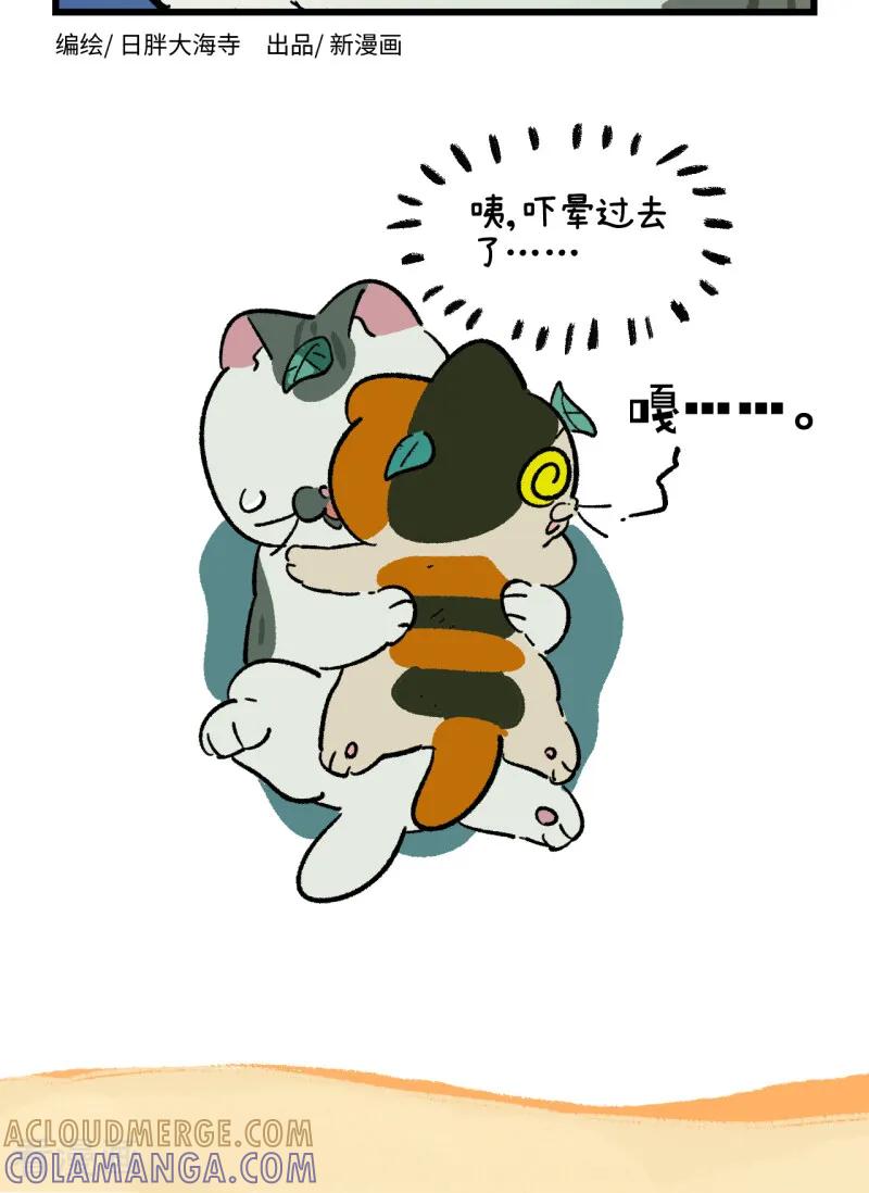 第258话-阿满和麦茶-新漫画 日胖大海寺（第12张）