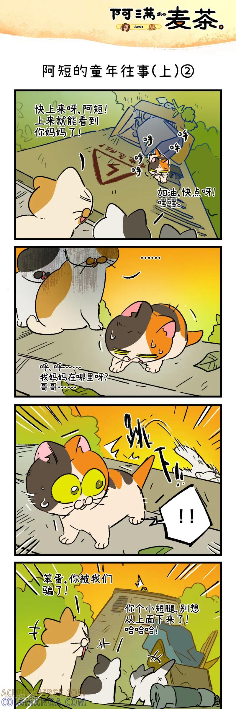 第258话-阿满和麦茶-新漫画 日胖大海寺（第3张）