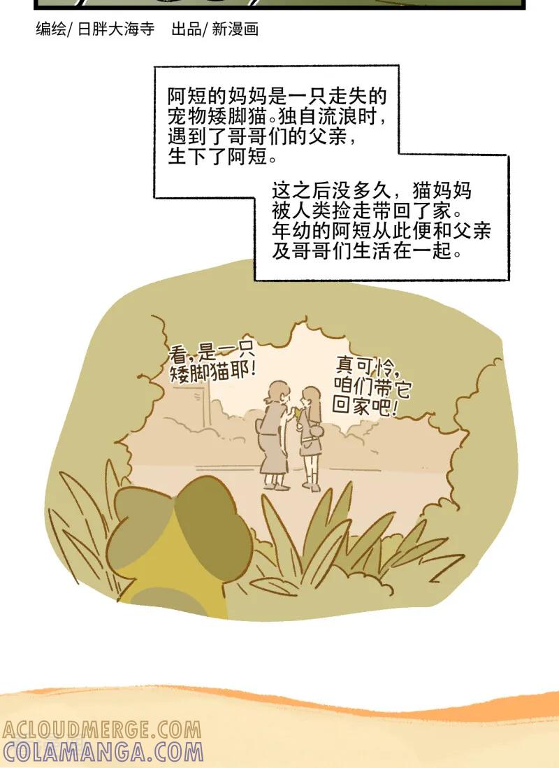 第258话-阿满和麦茶-新漫画 日胖大海寺（第2张）