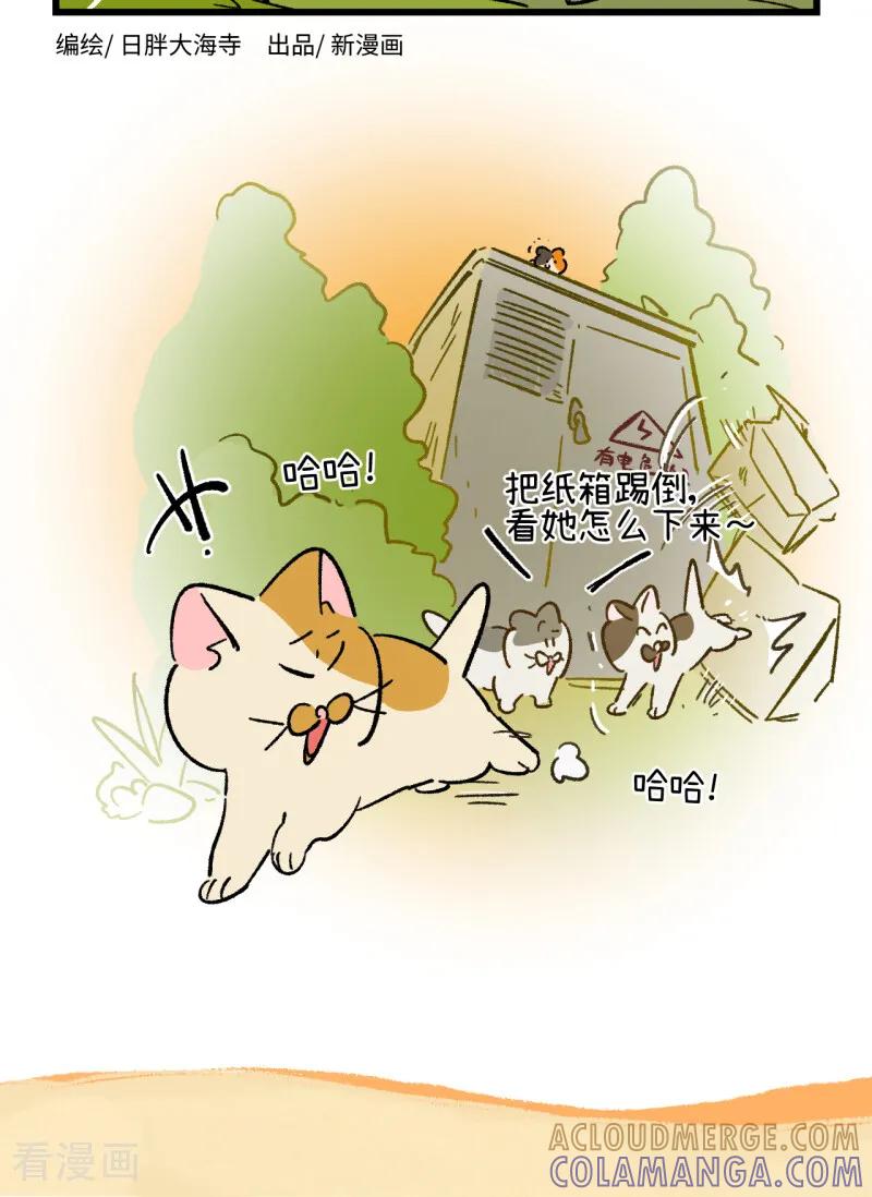 第258话-阿满和麦茶-新漫画 日胖大海寺（第4张）
