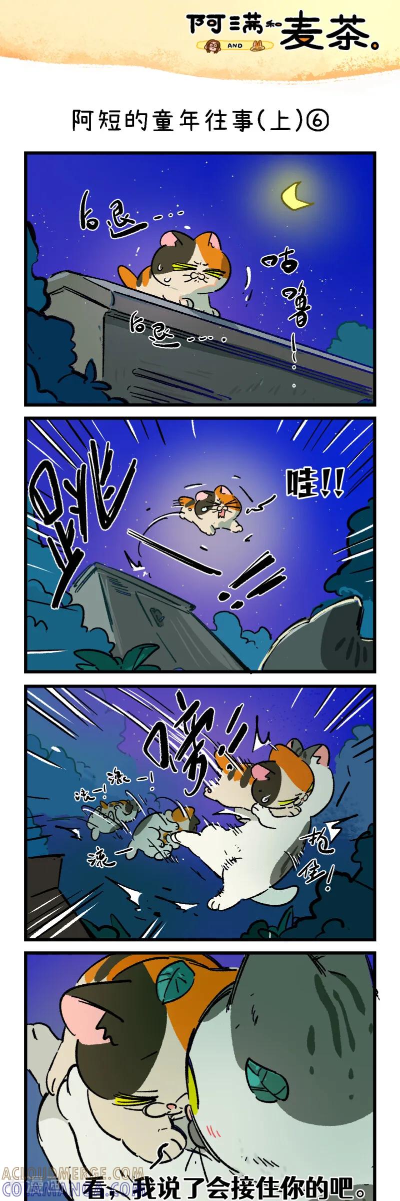第258话-阿满和麦茶-新漫画 日胖大海寺（第11张）