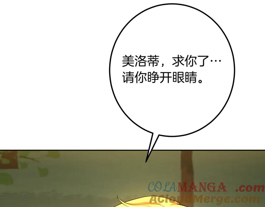 237.jpg