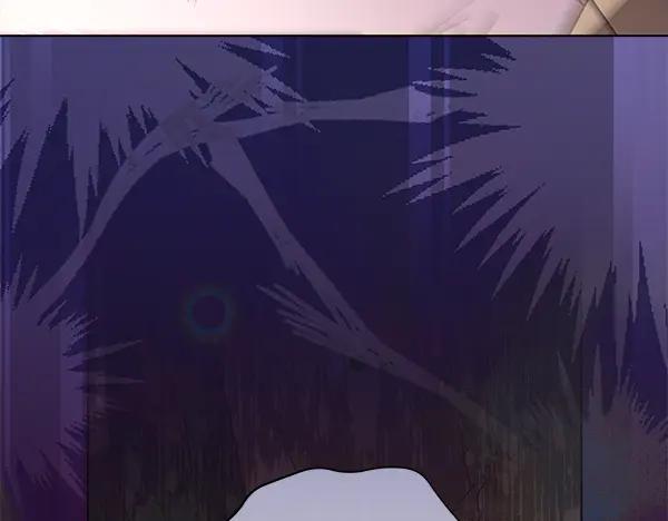 278.jpg