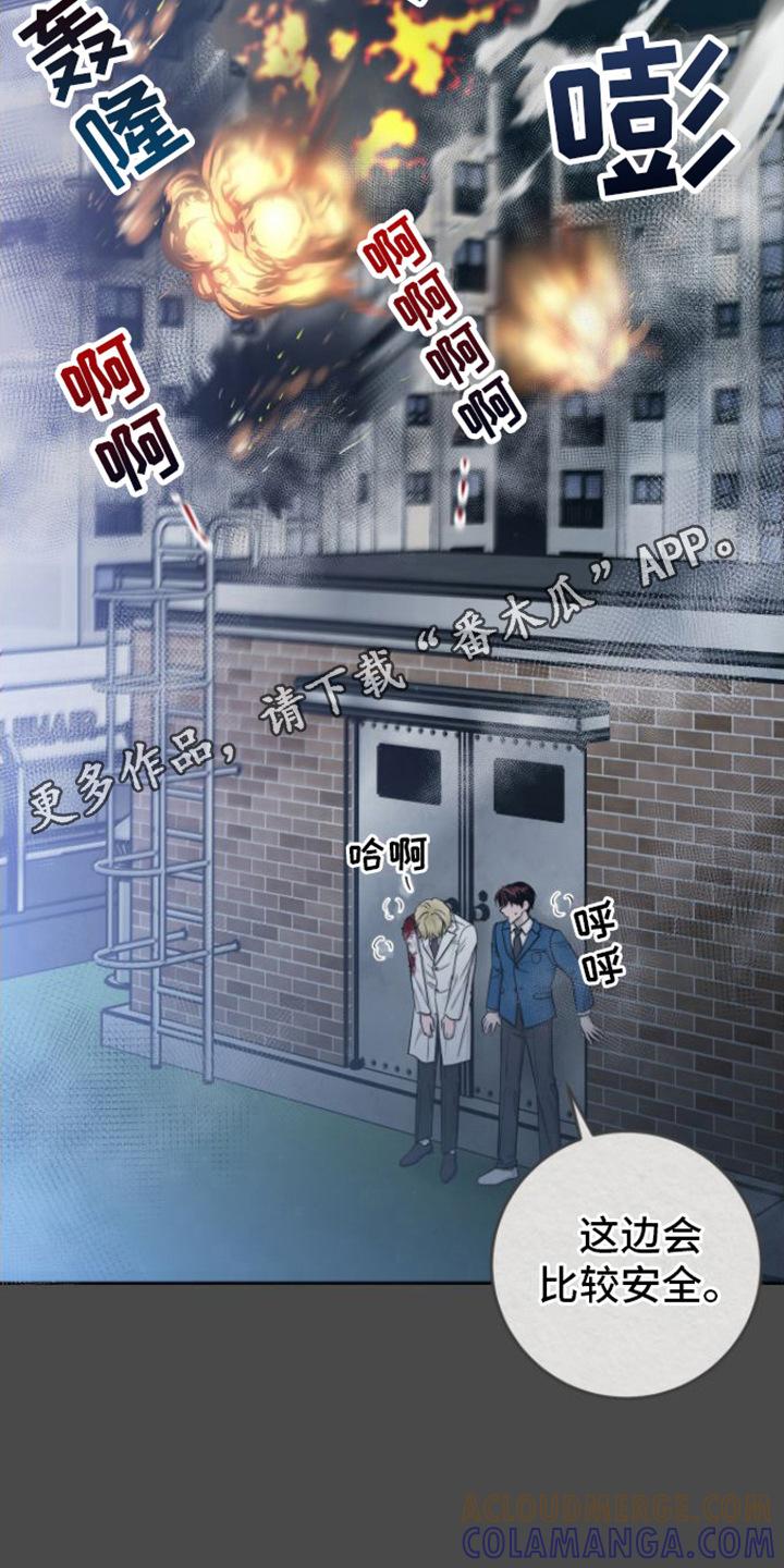 第11章：请杀了我-绝命重逢-Uiaoenm（第11张）