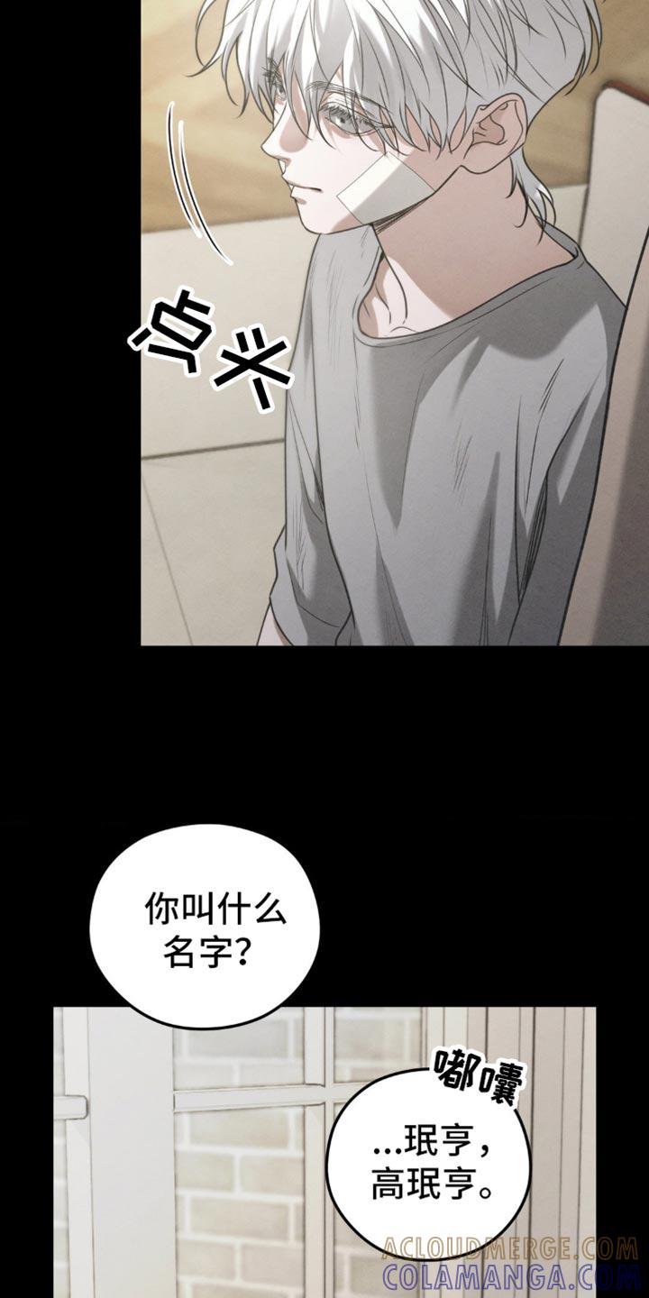 第61章：【第二季】梦到以前-纯白的假象-Rental price（第8张）