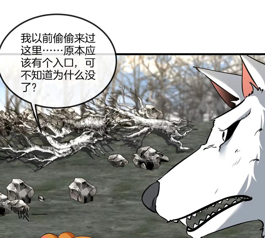 54.jpg