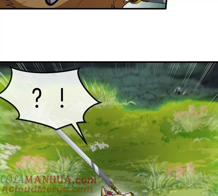 43.jpg