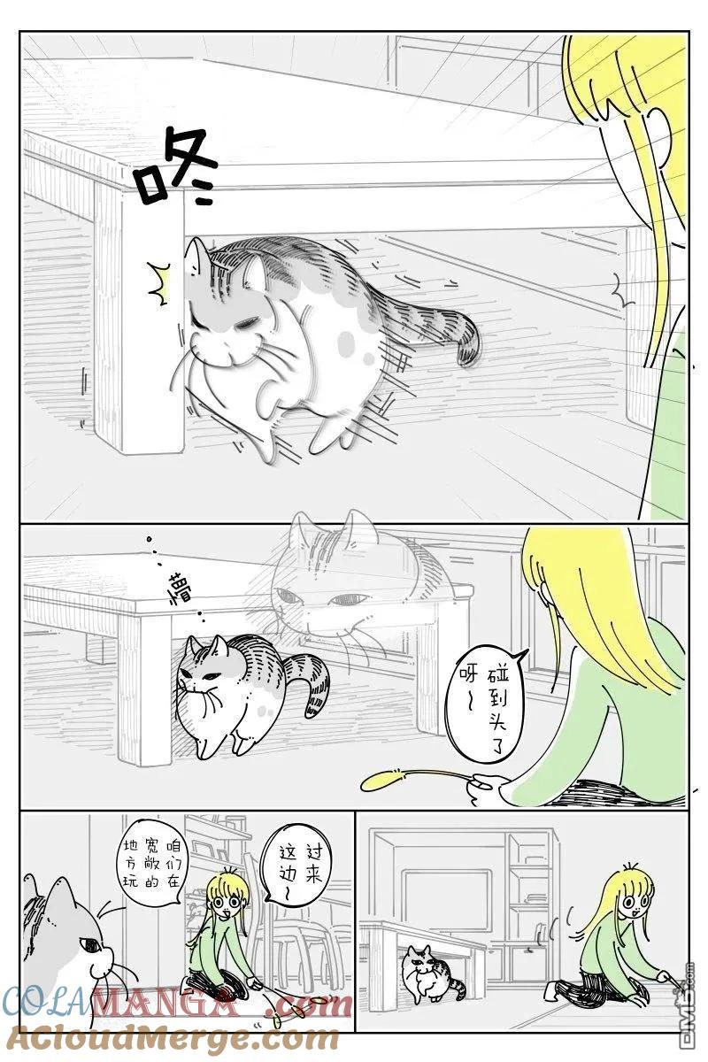 第257话-关于养猫我一直是新手-キュルZ（第1张）