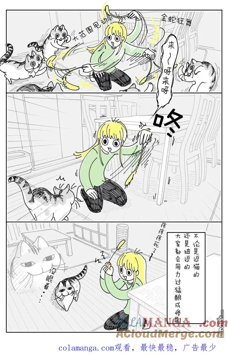 第257话-关于养猫我一直是新手-キュルZ（第2张）