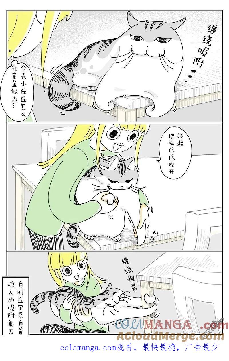 第258话-关于养猫我一直是新手-キュルZ（第2张）