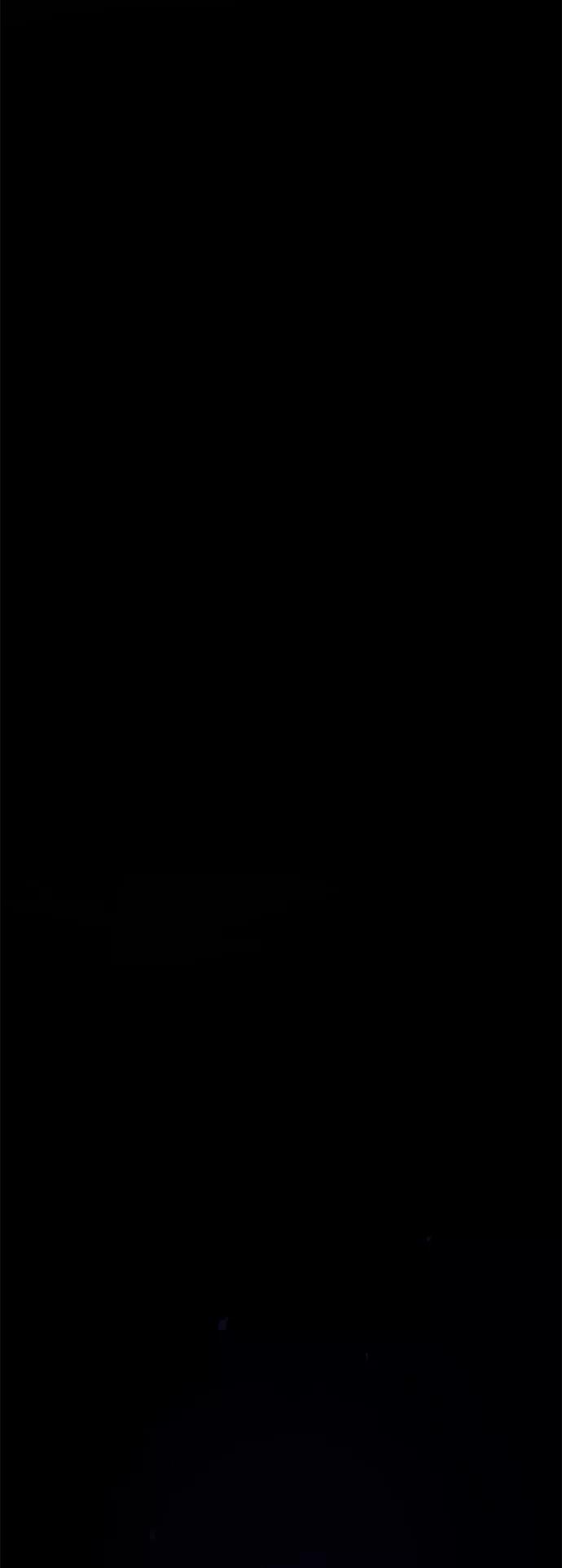65.jpg
