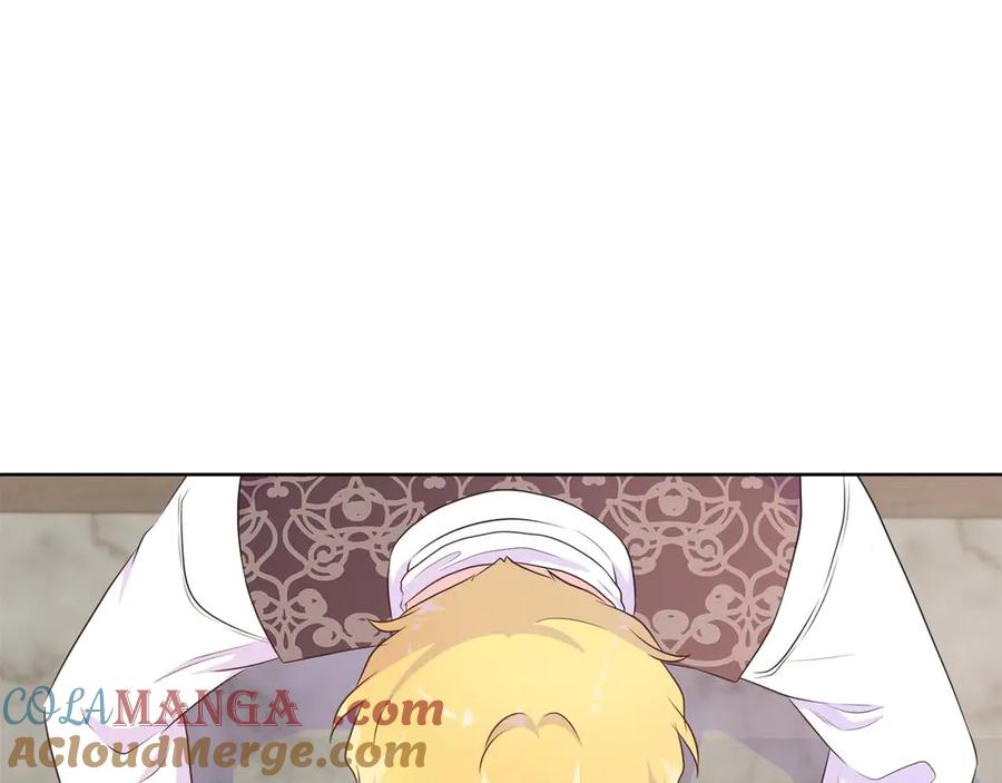 113.jpg