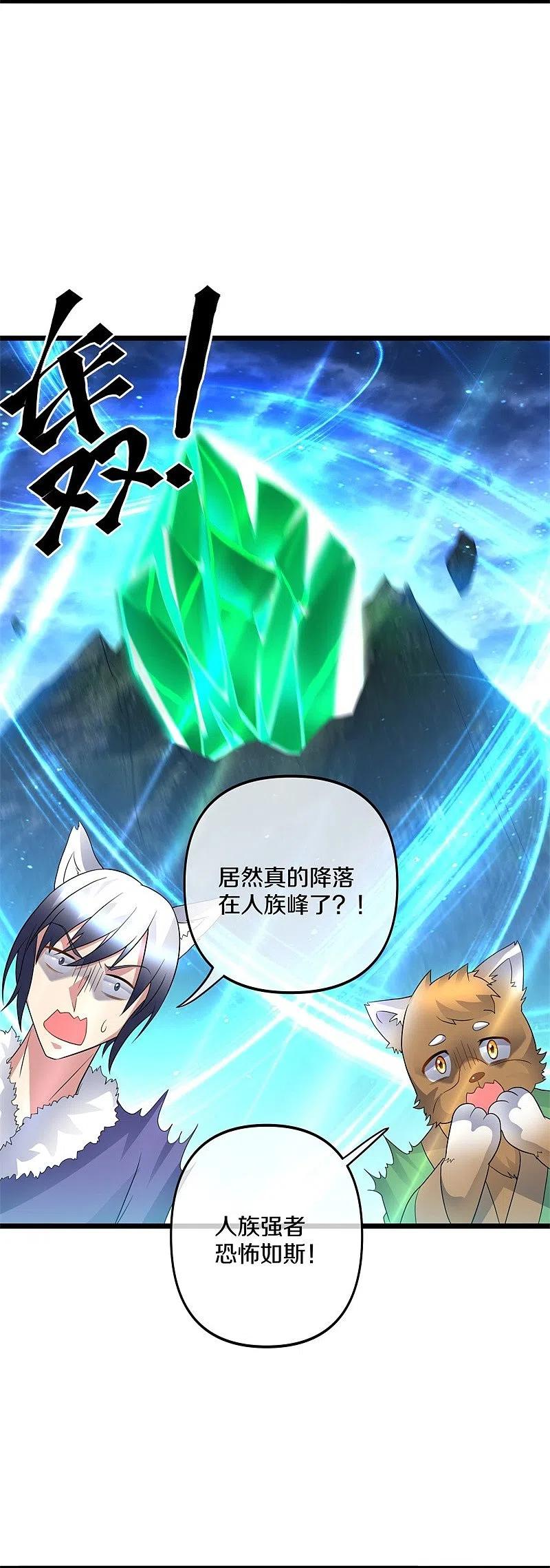 第398话人族峰主-绝世战魂-传奇漫业（第3张）