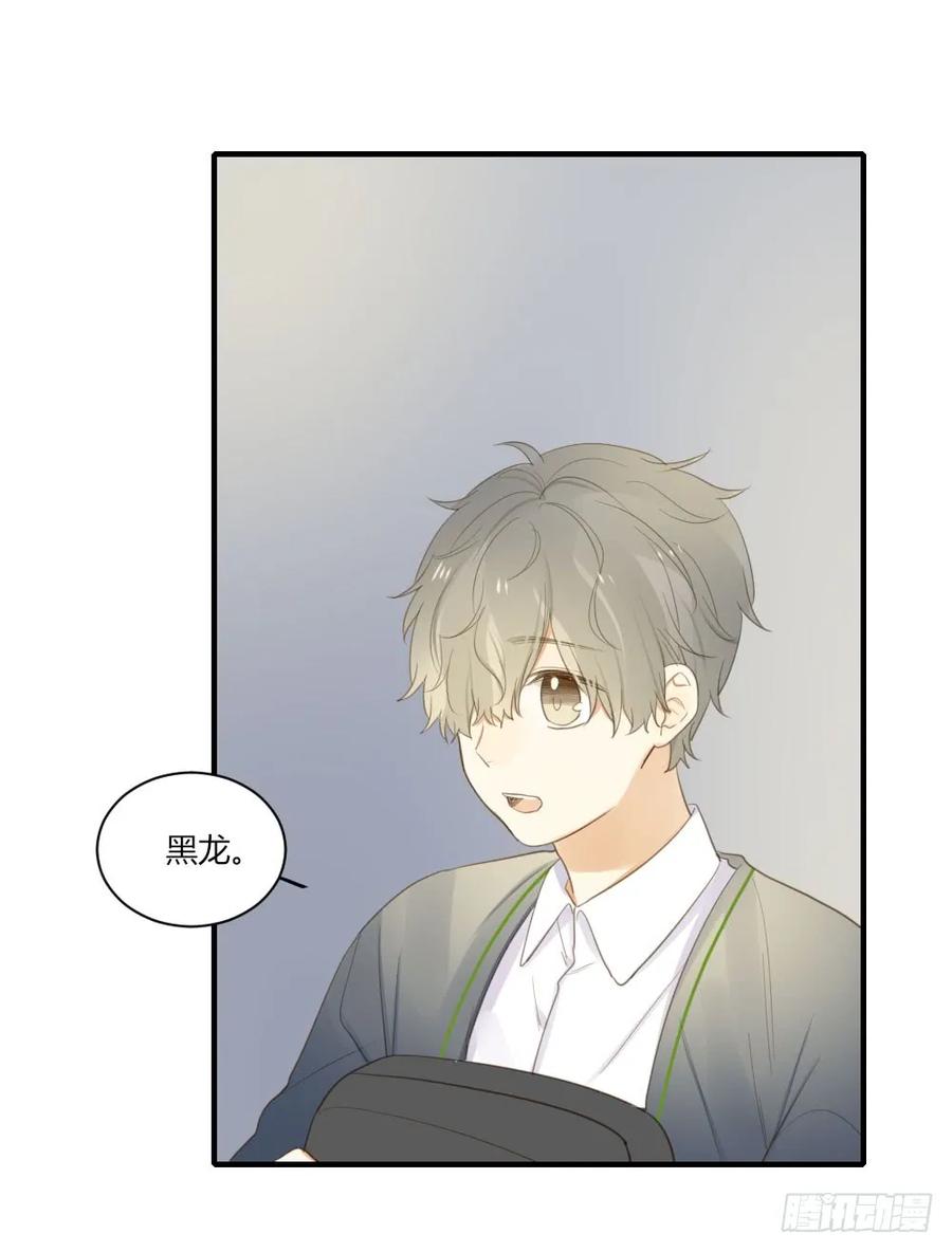黑龙vs翻龙-诞下龙种吧！-尼三岁+盖子犬（第8张）