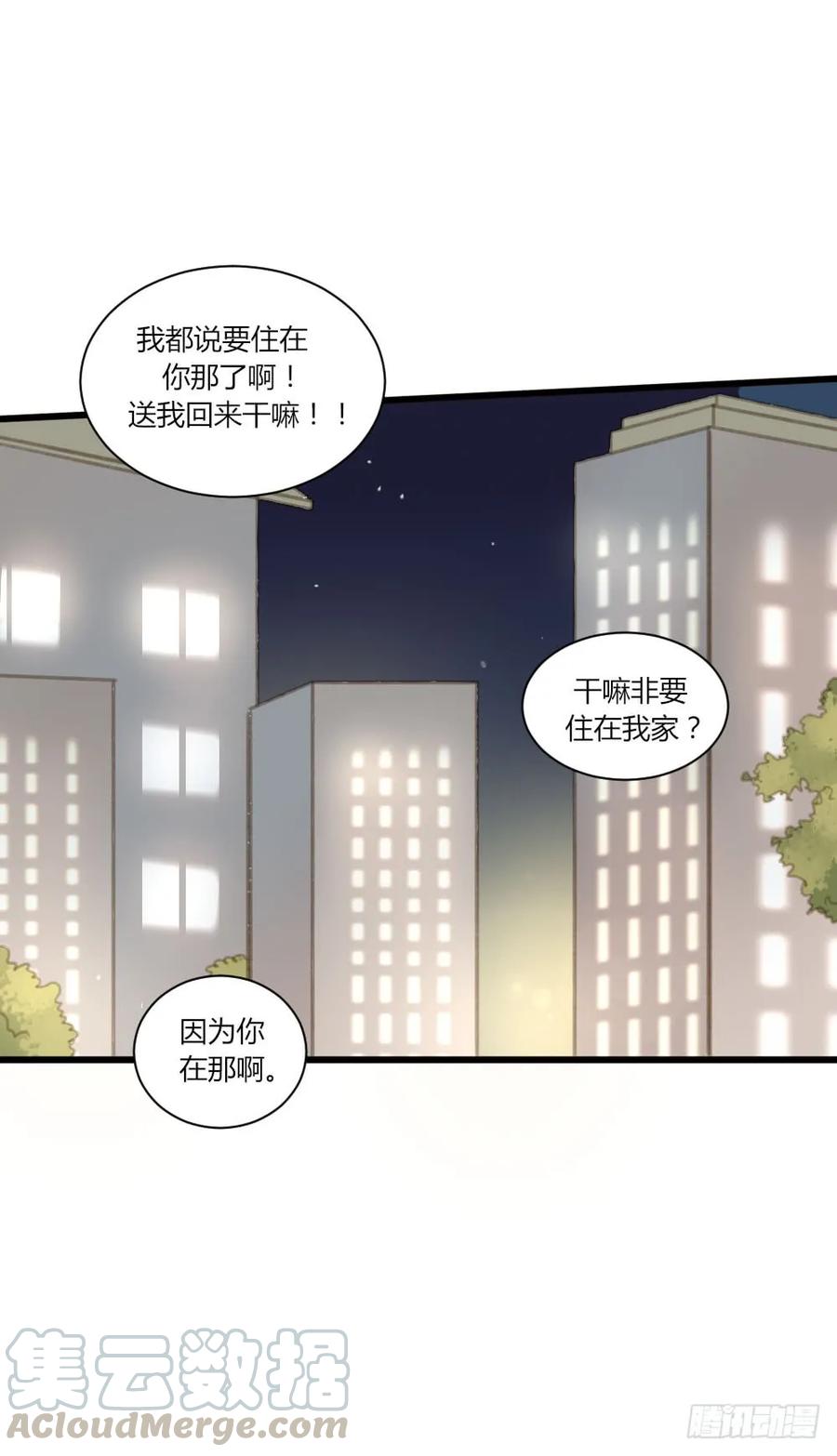 有三对哦-诞下龙种吧！-尼三岁+盖子犬（第1张）
