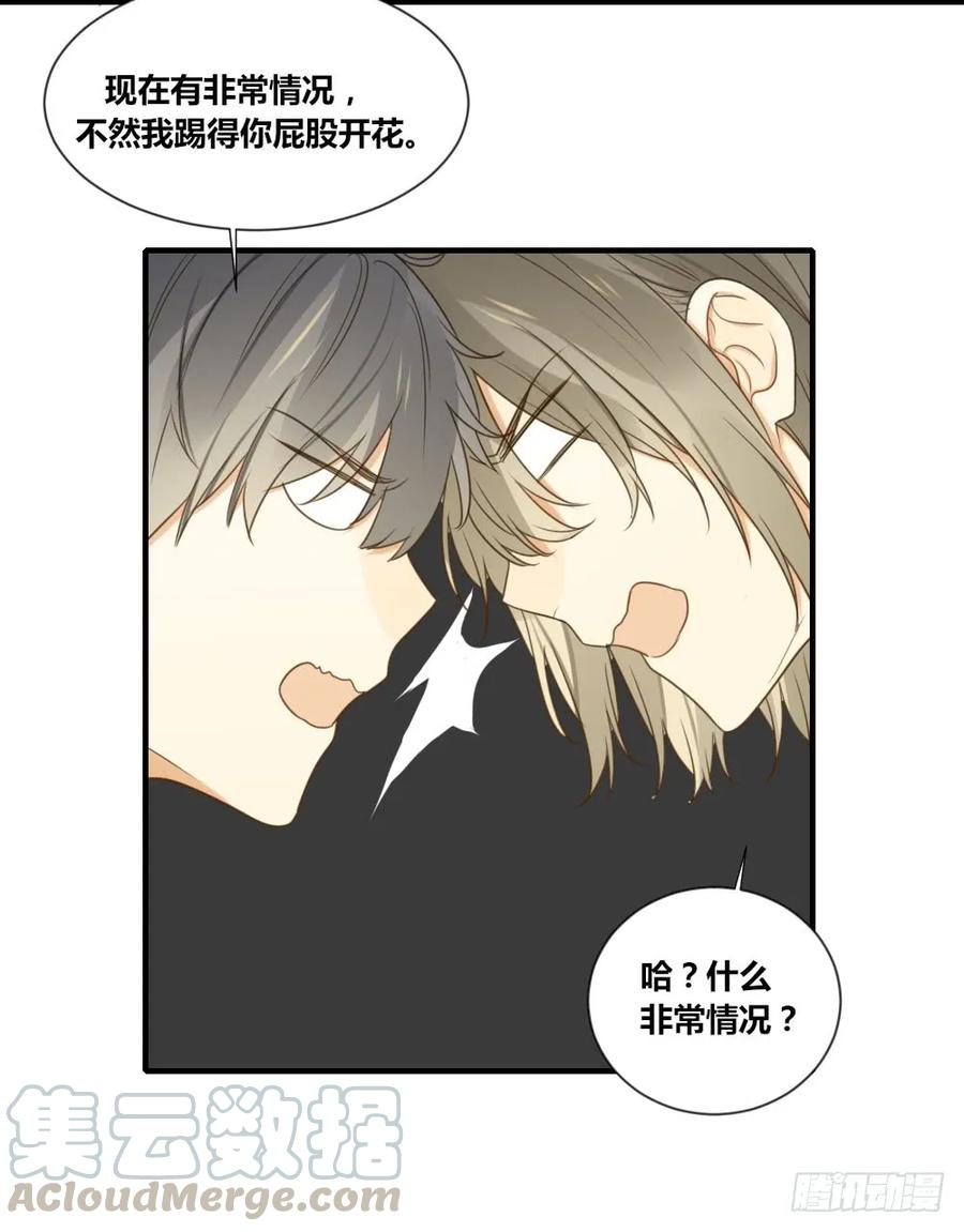 烛雨共同的敌人-诞下龙种吧！-尼三岁+盖子犬（第5张）