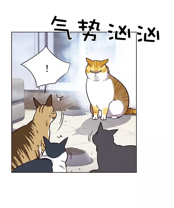 第9话-觉醒吧，铲屎官！-孙齐皓,ZHENA（第36张）