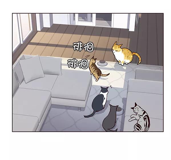 第9话-觉醒吧，铲屎官！-孙齐皓,ZHENA（第38张）