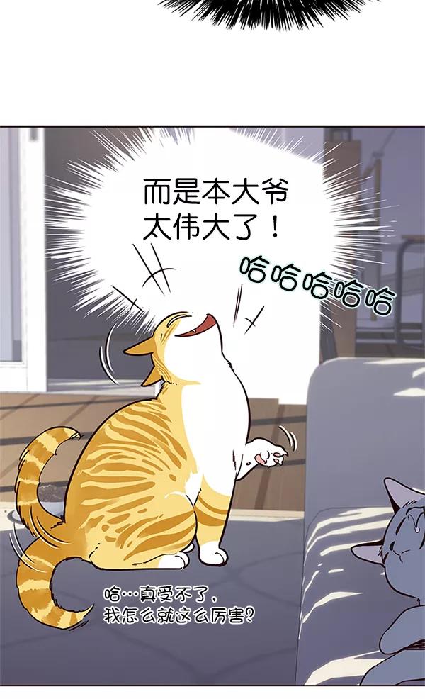 第9话-觉醒吧，铲屎官！-孙齐皓,ZHENA（第31张）