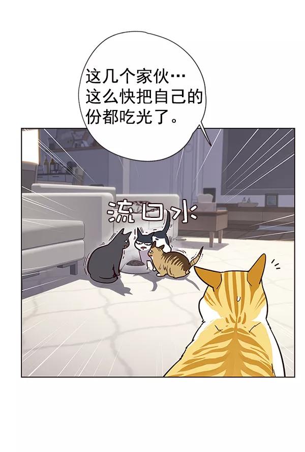 第9话-觉醒吧，铲屎官！-孙齐皓,ZHENA（第34张）