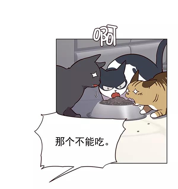 第9话-觉醒吧，铲屎官！-孙齐皓,ZHENA（第35张）
