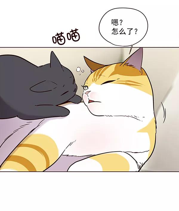 第101话-觉醒吧，铲屎官！-孙齐皓,ZHENA（第4张）