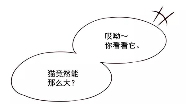第105话-觉醒吧，铲屎官！-孙齐皓,ZHENA（第20张）