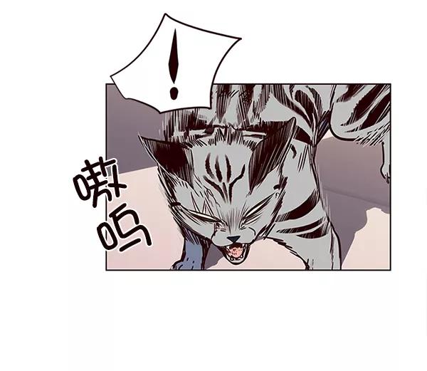 第10话-觉醒吧，铲屎官！-孙齐皓,ZHENA（第24张）