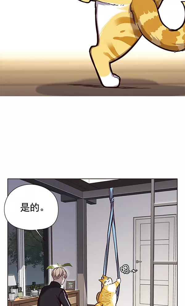第118话-觉醒吧，铲屎官！-孙齐皓,ZHENA（第7张）