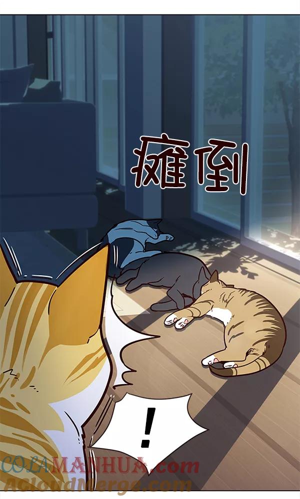 第11话-觉醒吧，铲屎官！-孙齐皓,ZHENA（第33张）