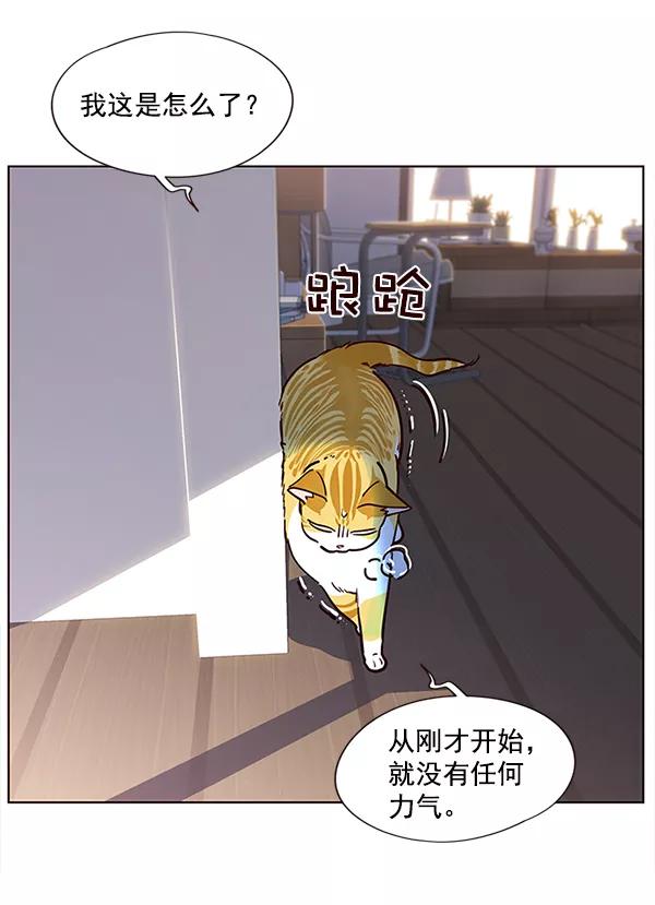 第11话-觉醒吧，铲屎官！-孙齐皓,ZHENA（第31张）