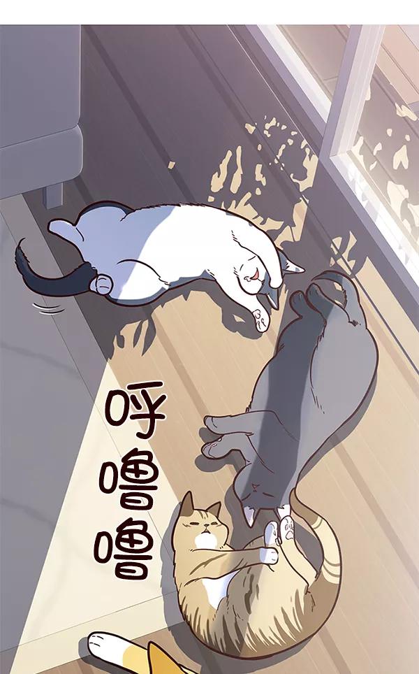 第11话-觉醒吧，铲屎官！-孙齐皓,ZHENA（第48张）