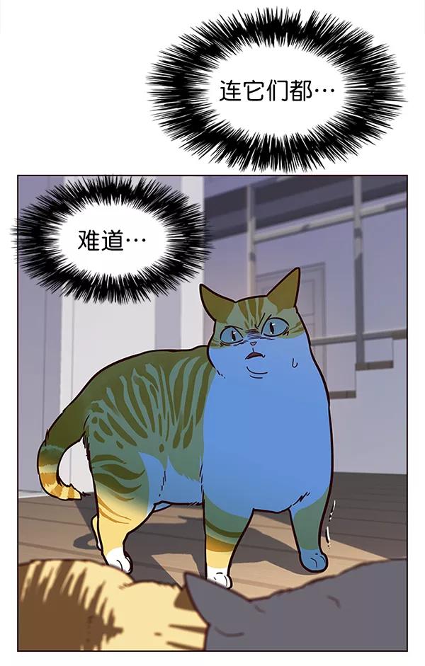 第11话-觉醒吧，铲屎官！-孙齐皓,ZHENA（第34张）