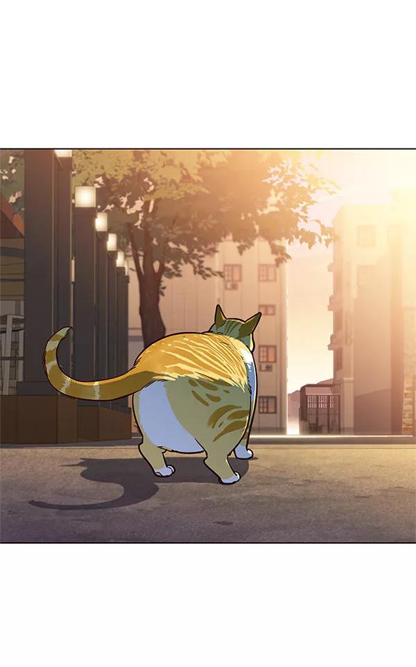 第13话-觉醒吧，铲屎官！-孙齐皓,ZHENA（第7张）