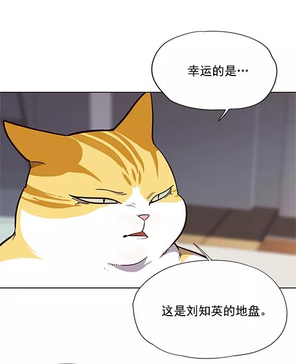第17话-觉醒吧，铲屎官！-孙齐皓,ZHENA（第35张）