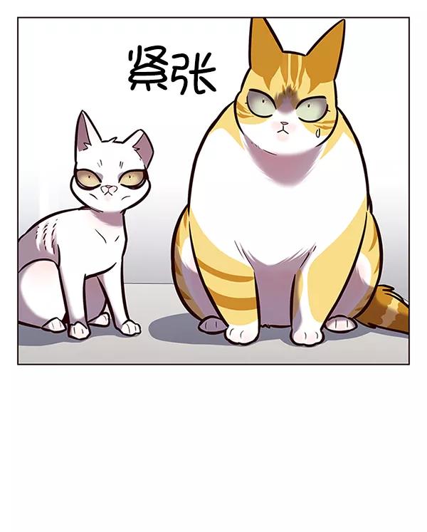 第188话-觉醒吧，铲屎官！-孙齐皓,ZHENA（第32张）