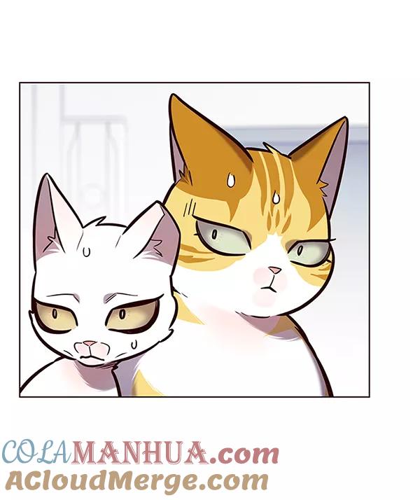 第188话-觉醒吧，铲屎官！-孙齐皓,ZHENA（第41张）