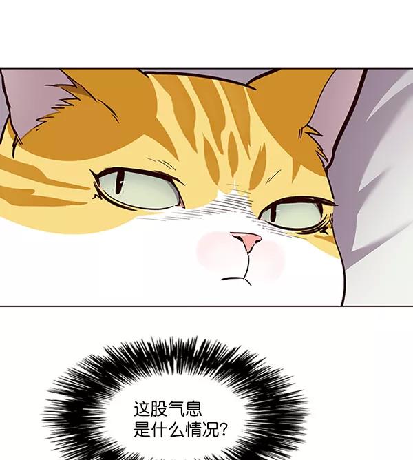 第24话-觉醒吧，铲屎官！-孙齐皓,ZHENA（第7张）