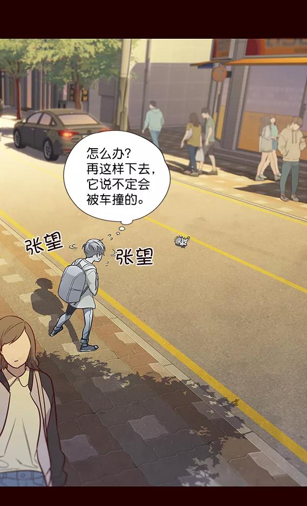 第27话-觉醒吧，铲屎官！-孙齐皓,ZHENA（第6张）