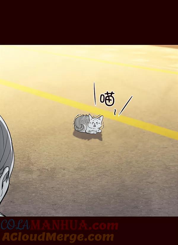 第27话-觉醒吧，铲屎官！-孙齐皓,ZHENA（第5张）